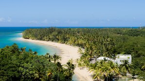 A beach with a white building, surrounded by dense palm trees and clear blue waters. - 5 star BEACHVIEW PH W/ ROOFTOP TERRACE &JACUZZI (Las Terrenas)