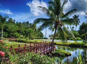 A tropical resort with a wooden bridge over a pond, surrounded by lush greenery and palm trees.