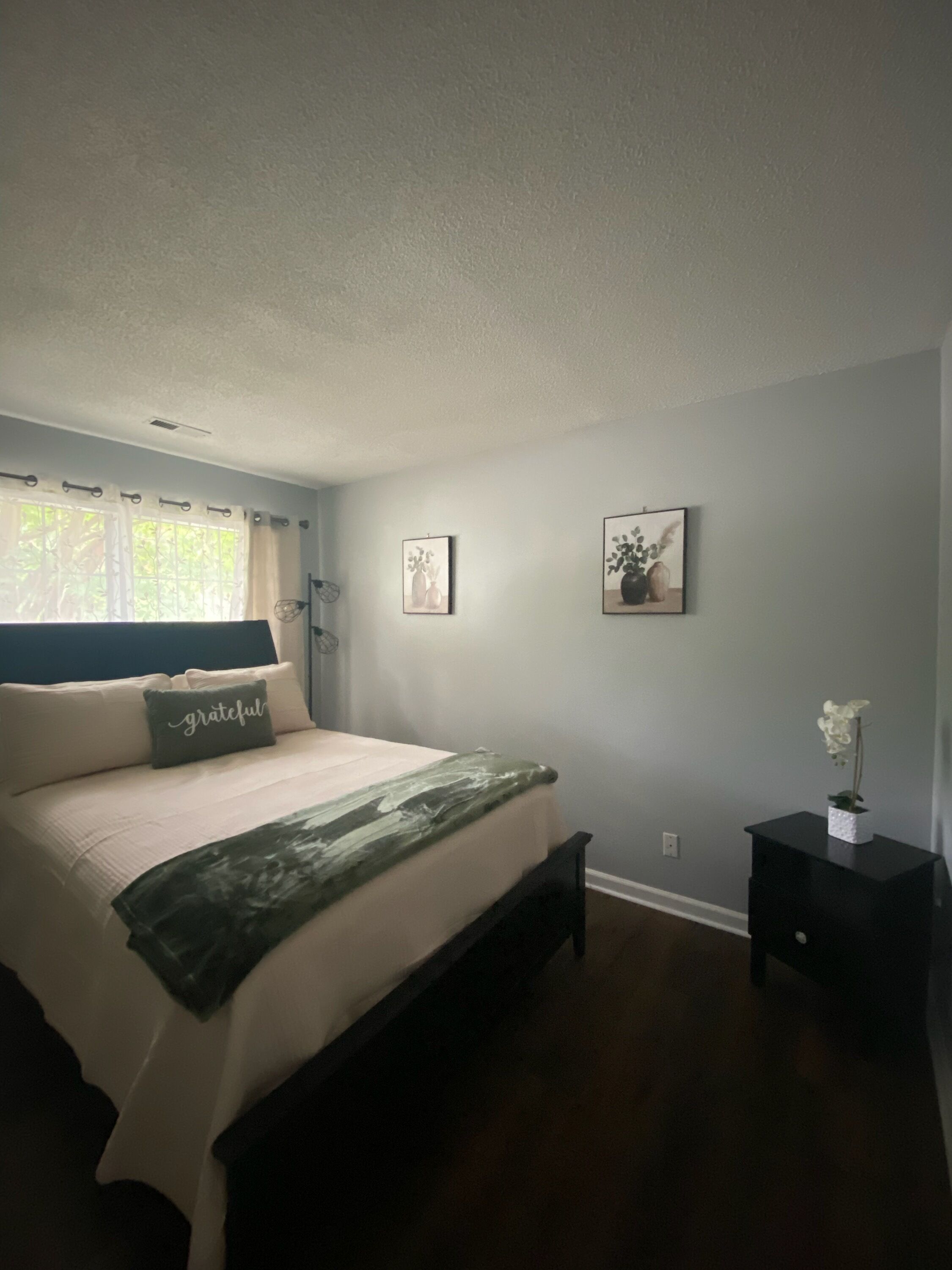 Hillandale Oasis - Newly Updated 2-Bedroom Ranch Style Home