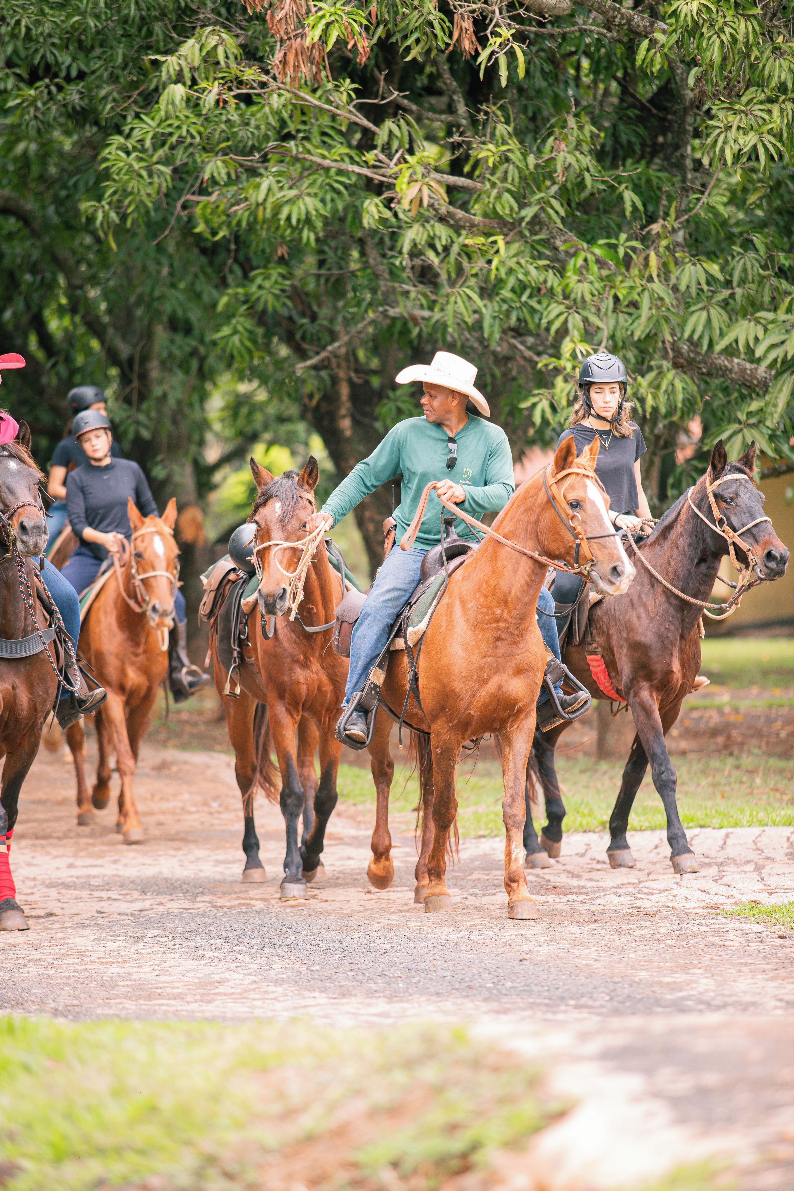 A group of people riding horses on a dirt path surrounded by greenery.