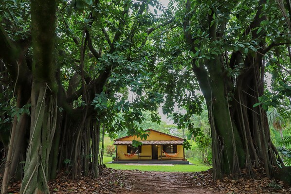 A yellow building with a tiled roof, surrounded by large trees and a grassy area. - Hotel Fazenda Bela Vista (Dourado)