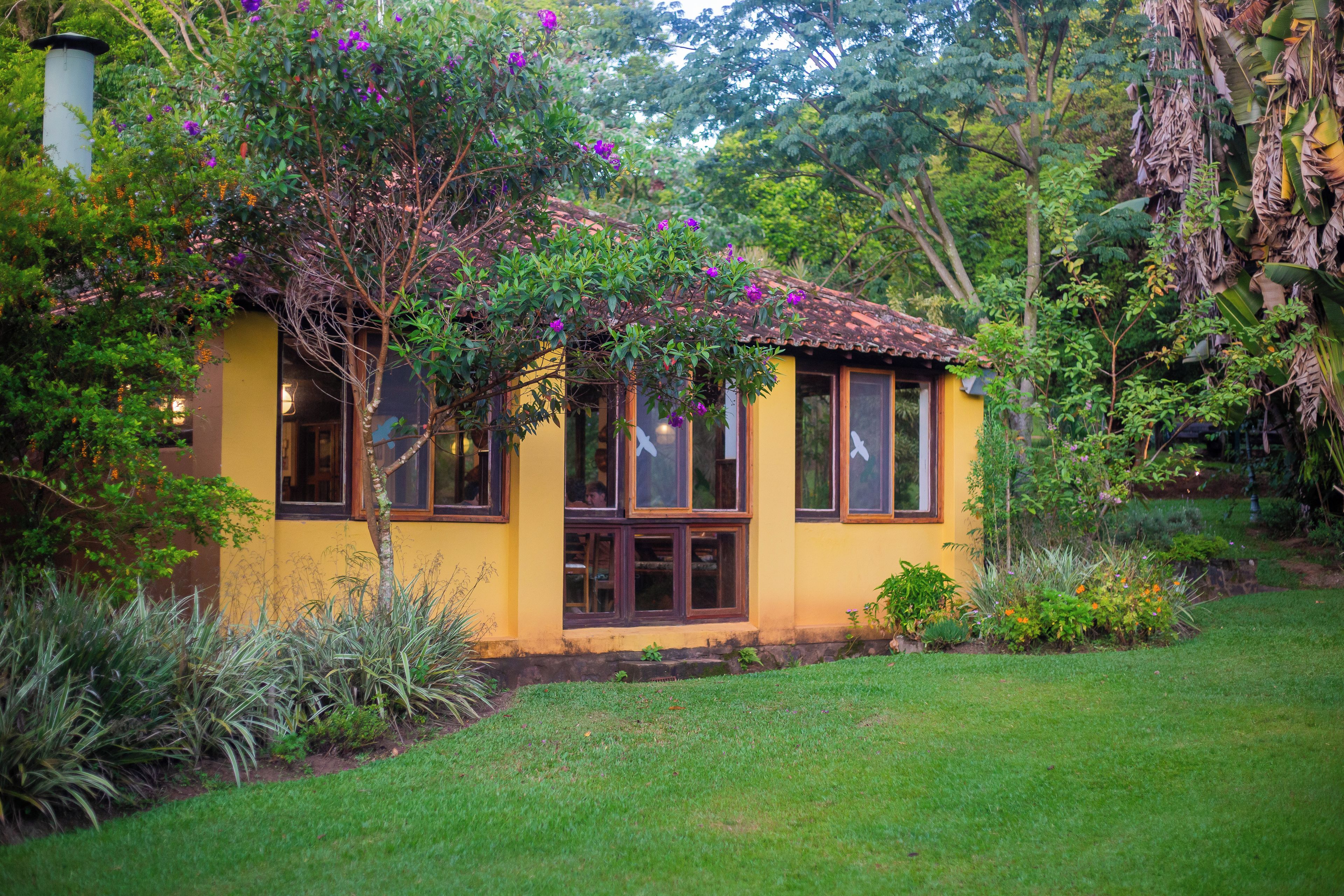 Un petit bâtiment jaune, surmonté d’un toit en tuiles, entouré d’une végétation luxuriante et de plantes en fleurs.