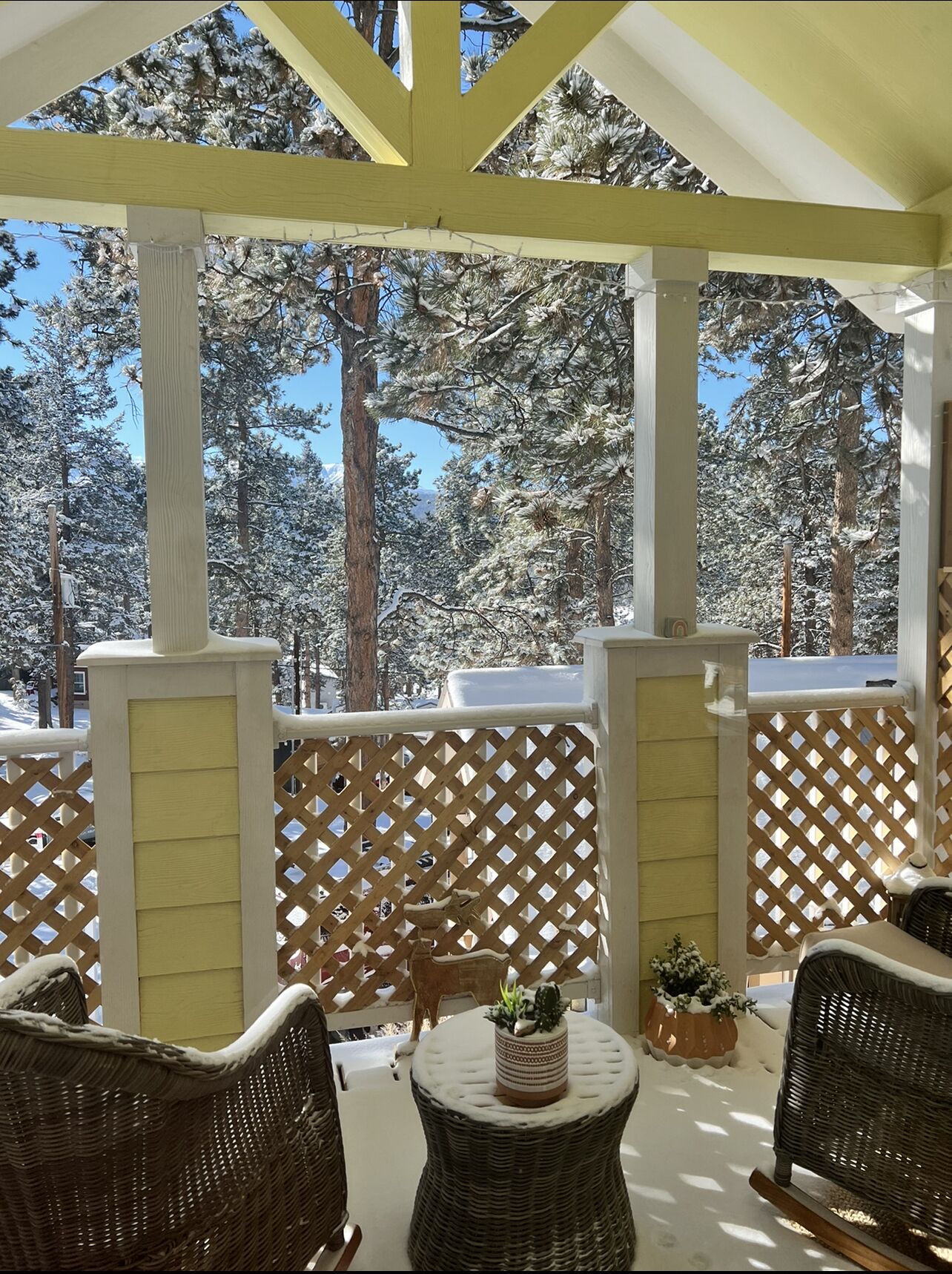 Sunny Treetop Tiny Home! Beautiful Pikes Peak View!