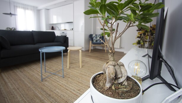 Una sala de estar con un sofá, una mesa de centro, un taburete pequeño, una planta en maceta y un escritorio con un monitor de computadora y una lámpara.