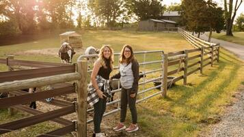 A wooden fence with a metal gate, a gravel path, and a barn in the background.