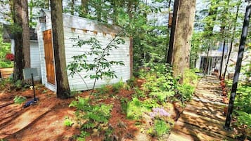 Una cabaña de madera rodeada de árboles, con un sendero de tierra que lleva a ella.