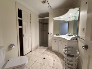 Un baño con inodoro, ducha, lavabo y espejo.