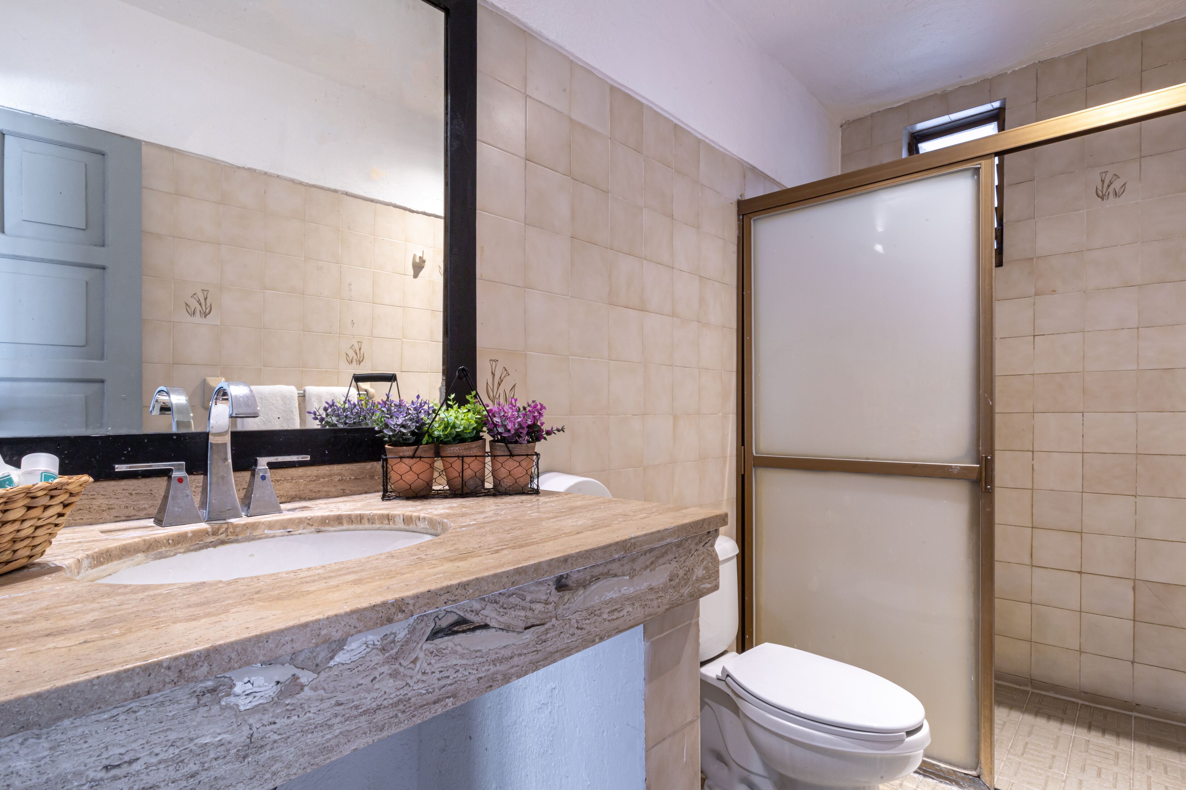 Photo - Soy Local Puerto Vallarta