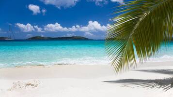 Una playa con agua turquesa cristalina, arena blanca y una palmera.