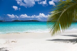 Een strand met helder turquoise water, wit zand en een palmpijlstaartboom.