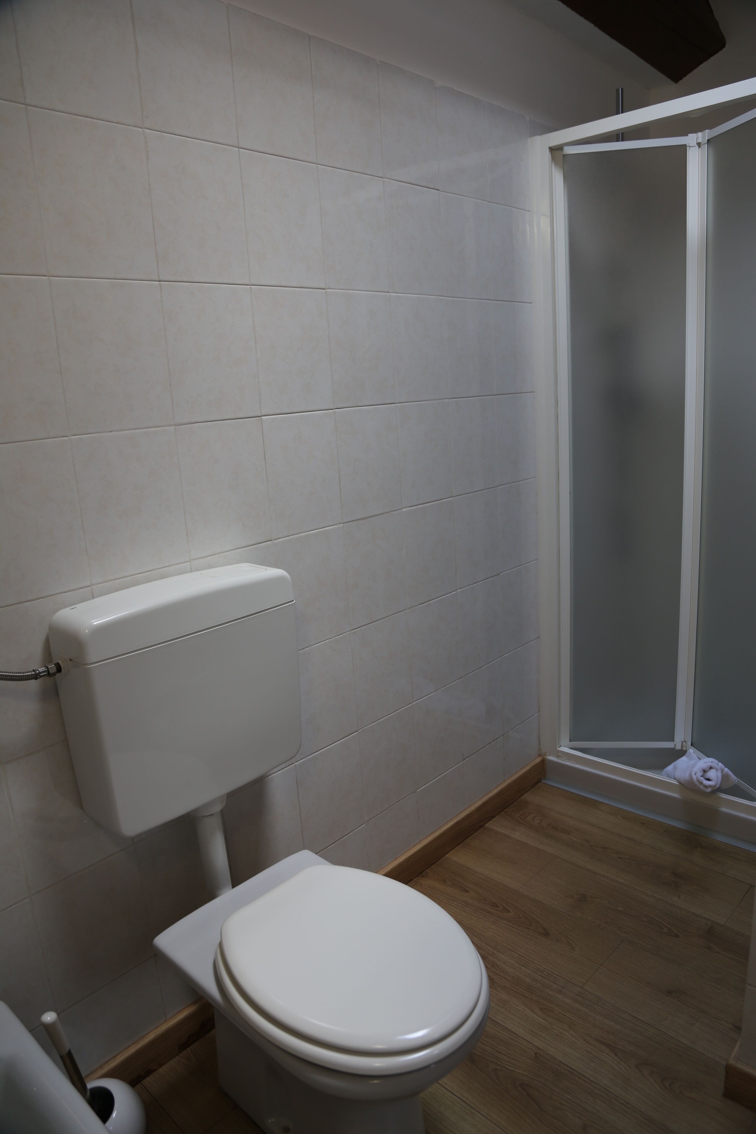 Shower, hair dryer, bidet