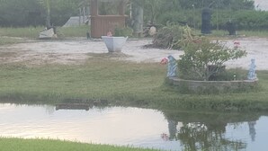 En trädgård med en vattendekoration, en byggnad med halmtak och en staty.