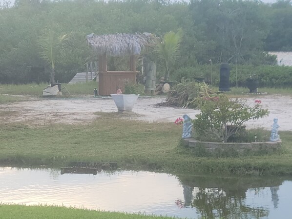 Property grounds - River Front house,has a4Acre ISLAND,SEE Dolphins, ARTIMUS1VIEW WILL B INCREDIBLE (Merritt Island)