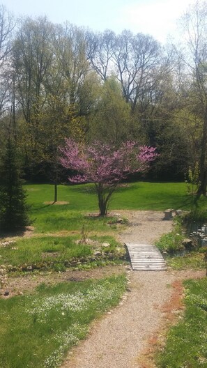 Property grounds - Nature paradise...13 acres with picnic and grilling patio. (Edwardsburg)