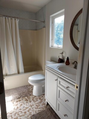 Bañera con ducha, bañera de hidromasaje, bidet