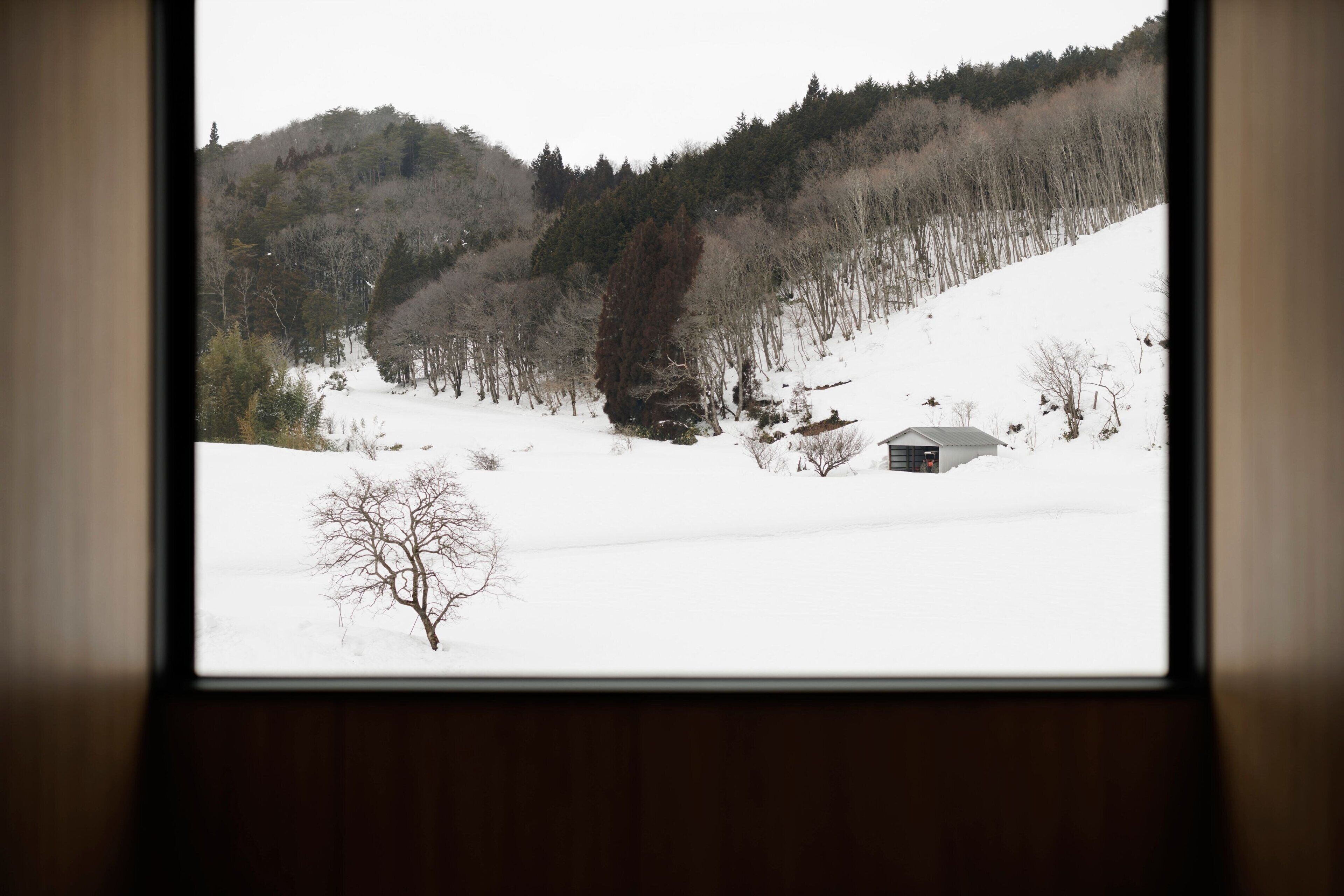 A snowy landscape with a cabin and trees.
