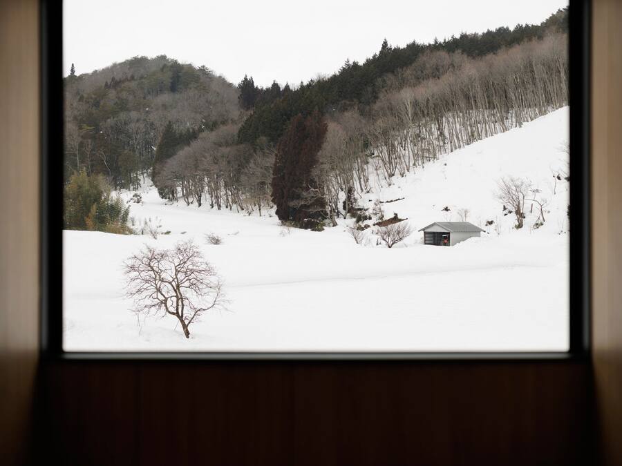 A snowy landscape with a cabin and trees.
