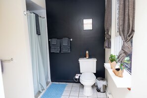 Combined shower/tub, bidet, towels, soap