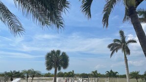 A swimming pool surrounded by palm trees and a fenced area with lounge chairs. - EBT 801 C (Fort Myers Beach)