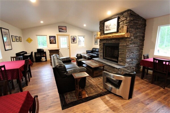 TV, fireplace, books