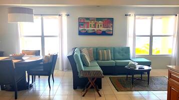 Smart TV, DVD player, video library
