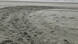 Ein Sandstrand mit Fußabdrücken und einer Person in der Ferne.