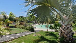 Ein angelegter Garten mit einer Palme, einem Weg und einem Poolbereich.