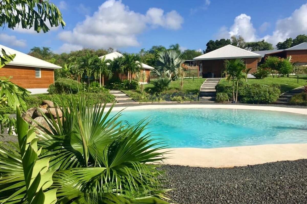 A swimming pool surrounded by tropical vegetation and a few buildings.