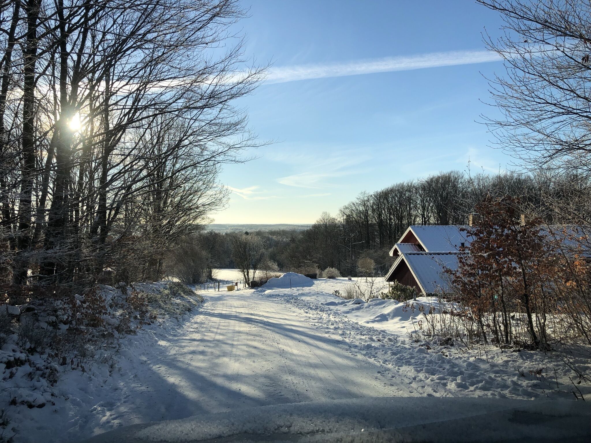 Una strada rurale innevata che conduce a una baita di legno con tetto spiovente, circondata da alberi spogli e un cielo sereno.
