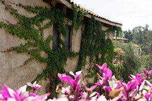 Loft | Exterior detail