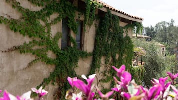 Loft | Exterior detail