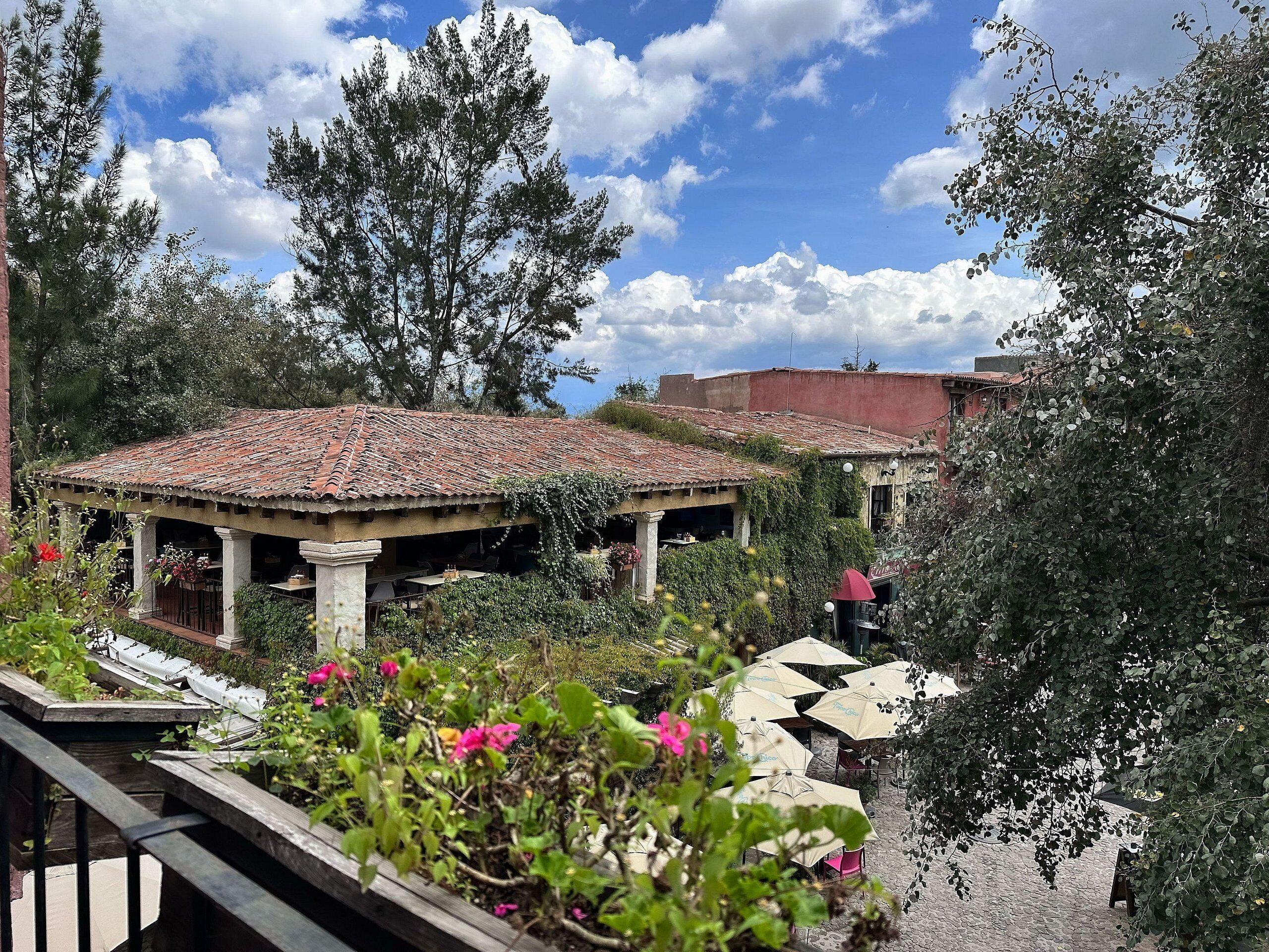 Un espace patio avec des sièges extérieurs, entouré de verdure et d’arbres.