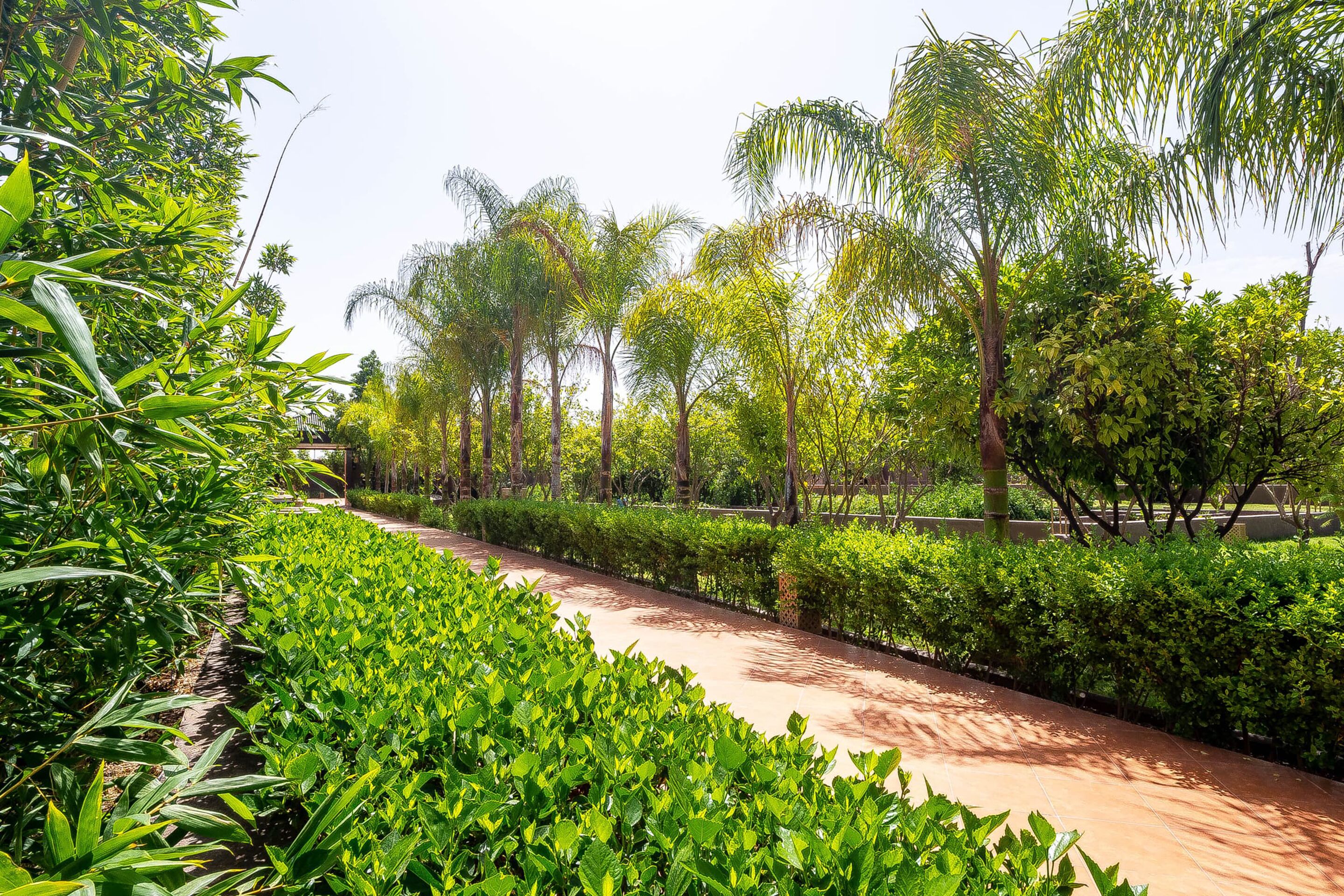 Foto - The Lemonary Marrakech