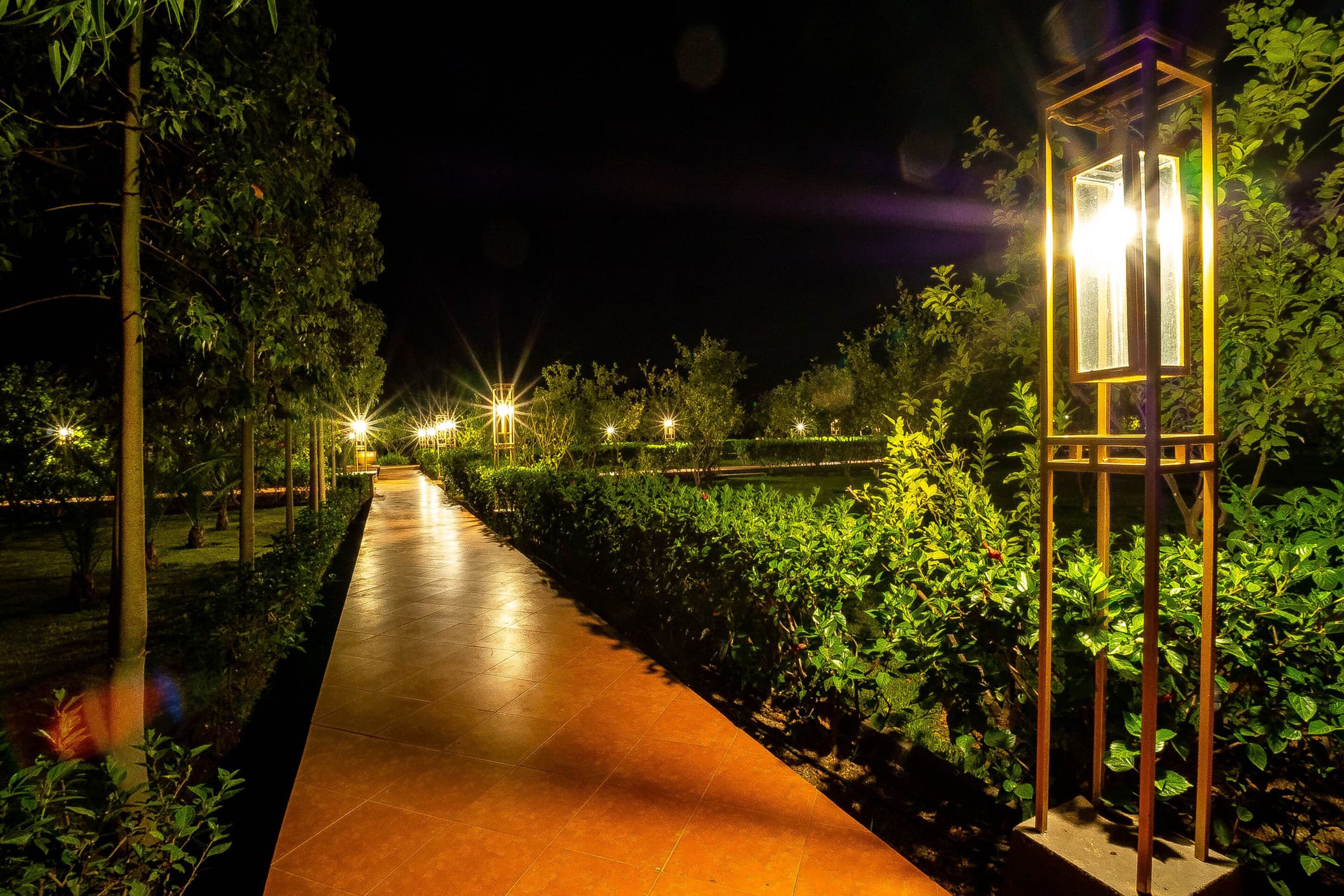 Foto - The Lemonary Marrakech