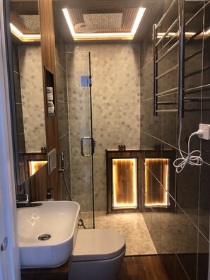 Een bad/douchecombinatie, een bidet