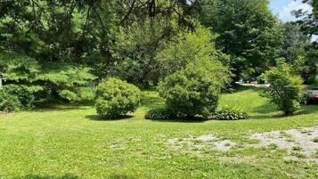 Escape to a serene garden oasis with lush greenery and a variety of trees and shrubs.