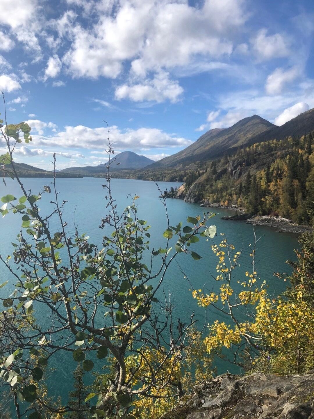 Un paysage montagneux avec un lac, des arbres et un ciel dégagé.