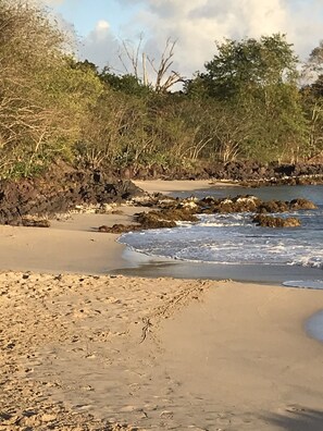 A beach with rocky outcrops and sparse vegetation.