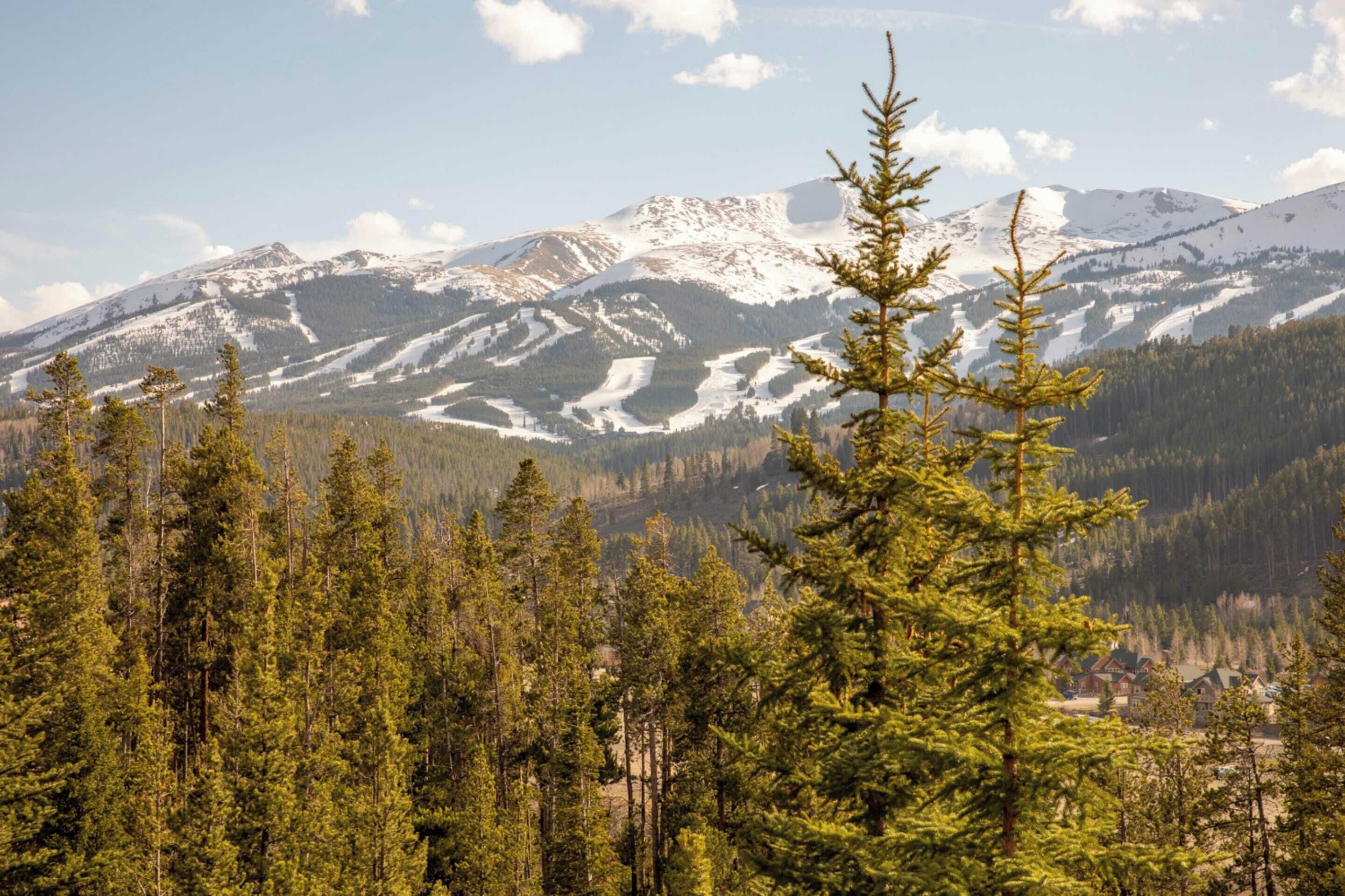A mountainous landscape with snow-capped peaks, dense coniferous forest, and a small settlement in the valley.