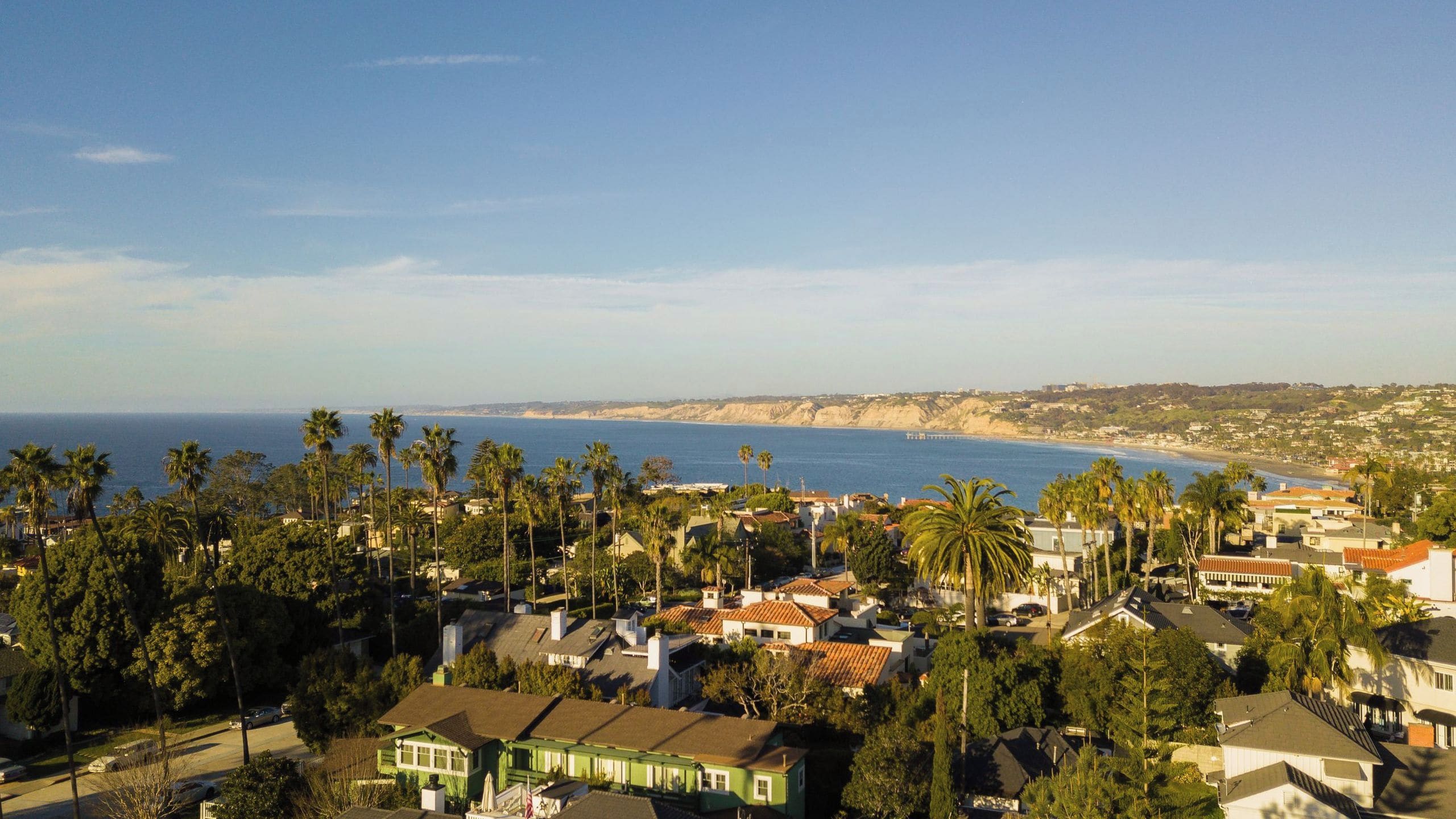 A coastal residential area with houses, palm trees, and a view of the ocean.