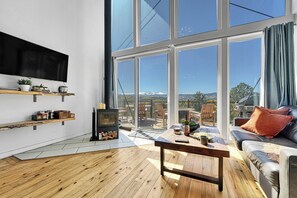 Smart TV, fireplace, books