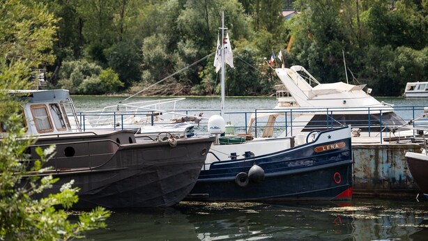 Ein Yachthafen mit mehreren vertäuten Booten, umgeben von viel Grün.