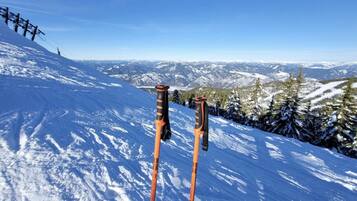 Sne- og skisport