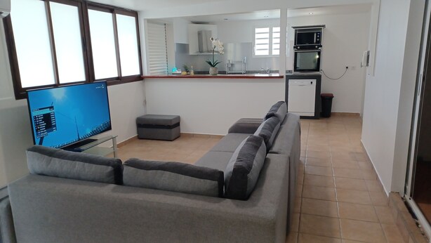 A living room with a grey sofa, a TV, and a kitchen in the background. - HONEY HOUSE VILLA WITH PRIVATE RIVER (Petit-Bourg)