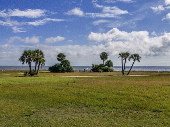 Zona verde con palmeras y vista al océano.