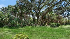 A lush garden with a large tree, well-maintained grass, and various shrubs. - Villas by the Sea 478 (Jekyll Island)