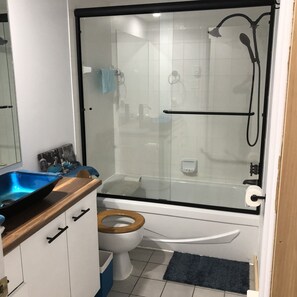 Combined shower/tub, hair dryer, towels, soap