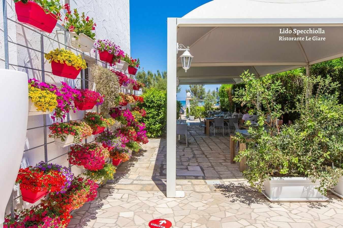 A restaurant patio with outdoor seating, a white wall with hanging flower baskets, and a clear view of the sea.