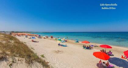 Sea view terrace-Sea 50 mt away- Dishwasher- 2 bathrooms with shower- 5 guests.