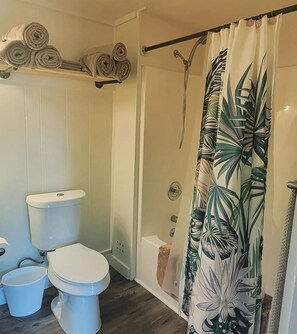 Combined shower/bathtub